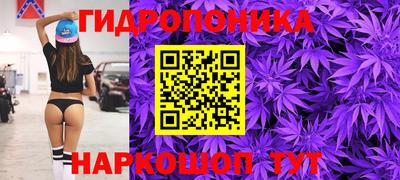 стаф Тулун
